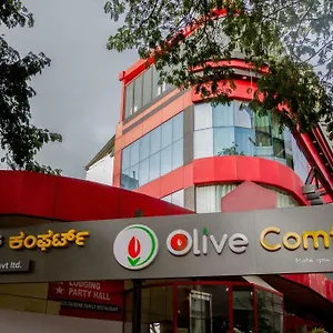 Olive Comfort Mysore